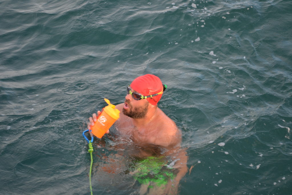 Feeding in English Channel